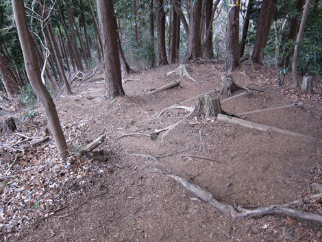 20190214hike (307)